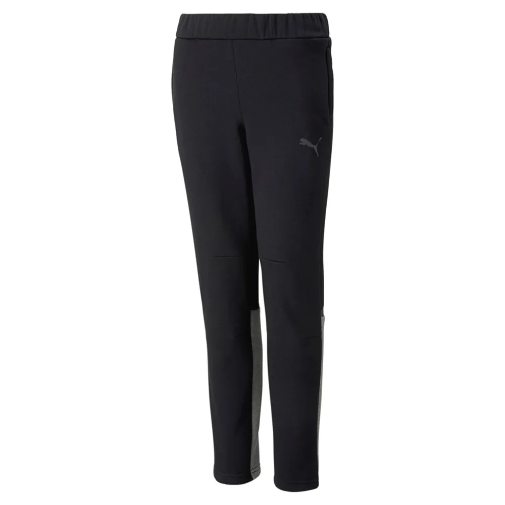 Puma teamCUP Casuals Pants Junior